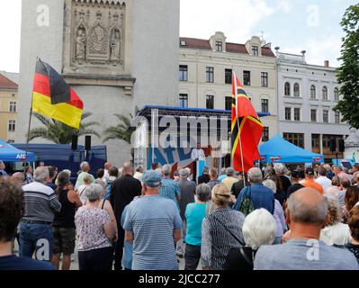 Sebastian Wippel beim Landratswahlkampf für Sebastian Wippel am Marienplatz. Görlitz, 11.06.2022 Stockfoto