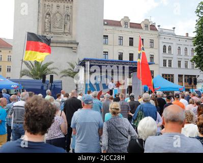 Sebastian Wippel beim Landratswahlkampf für Sebastian Wippel am Marienplatz. Görlitz, 11.06.2022 Stockfoto