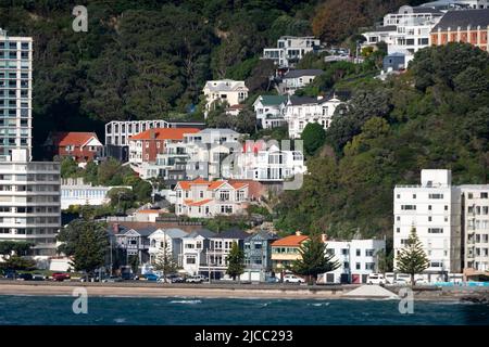 Häuser am Hang über Oriental Bay, Mount Victoria, Wellington, Nordinsel, Neuseeland Stockfoto