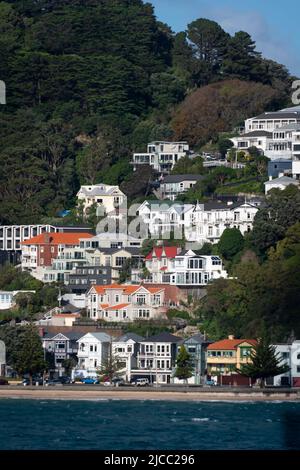 Häuser am Hang über Oriental Bay, Mount Victoria, Wellington, Nordinsel, Neuseeland Stockfoto