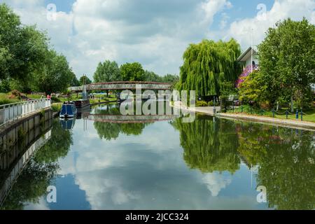 Frühlingsmittag auf dem River Cam in Cambridge, England. Stockfoto