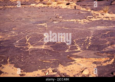 Form eines Elefanten, der auf einer Felsoberfläche geschnitzt wurde, Tassili N'Ajjer, Algerien, Nordafrika 1973 Tassili N'Ajjjer National Park Stockfoto