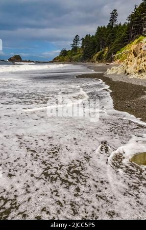 Kieselstrand in Olympic National Park, Washington, USA Stockfoto