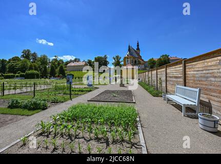 10. Juni 2022, Brandenburg, Neuzelle: Erweiterung des Barockgartens im Kloster Neuzelle. Nach den Plänen des Klostergatlas aus dem Jahr 1760 wurde der barocke Garten auf seine Gesamtgröße von fünf Hektar restauriert. Bereits 2008 wurde der Barockgarten Neuzell von der Deutschen Zentrale für Tourismus zu einem der 53 schönsten Gärten Deutschlands gewählt. Im Jahr 2021 wiederum wurde der dritte Bauabschnitt des Klostergartens, des Küchen- und Kräutergartens, vom Fachverband Garten-, Landschafts- und Sportplatzbau Berlin und Brandenburg e.V. mit der Auszeichnung „Schönster Park Brandenburgs“ ausgezeichnet Stockfoto