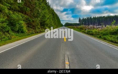 Bäume entlang der asphaltierten Straße abgeholzt, stolpert von gefällten Kiefern. Staat Washington, USA Stockfoto