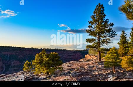 Blick vom Canyon Rim Trail in Flaming Gorge Utah National Park of Green River High Angle Luftaufnahme, USA Stockfoto