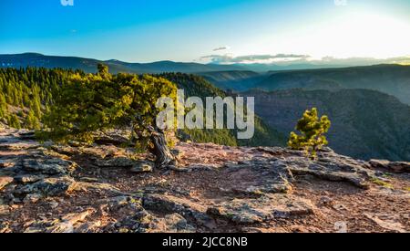 Blick vom Canyon Rim Trail in Flaming Gorge Utah National Park of Green River High Angle Luftaufnahme, USA Stockfoto