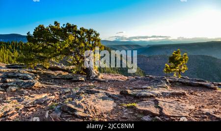 Blick vom Canyon Rim Trail in Flaming Gorge Utah National Park of Green River High Angle Luftaufnahme, USA Stockfoto