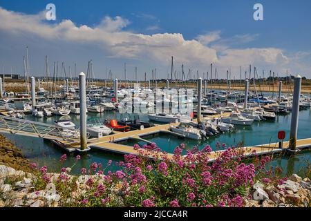 Bild von Carteret Marina an einem sonnigen Tag mit Blumen im Vordergrund. Stockfoto