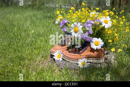 Braune Stiefel mit einem Bouquet von wilden Blüten von Gänseblümchen und Butterblumen in ihnen. Urlaub, Reisen, Blumen-Überraschungsgeschenk, Dankbarkeit. Aktiver Lebensstil, WAL Stockfoto