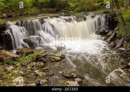 Minneopa Upper Falls - Ein Wasserfall im Wald im Frühjahr. Stockfoto