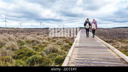 Mädchen, die auf der Promenade im Blawhorn Moss National Nature Reserve mit Windpark-Turbinen spazieren, West Lothian, Schottland, Großbritannien Stockfoto