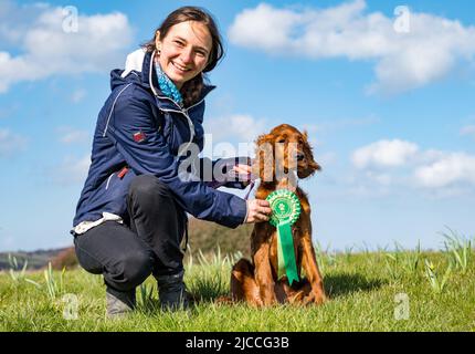 Stolze Hundebesitzerin mit niedlichem irischen Setter-Welpe mit 3.-Platz-Rosette in Sunshine, Schottland, Großbritannien Stockfoto