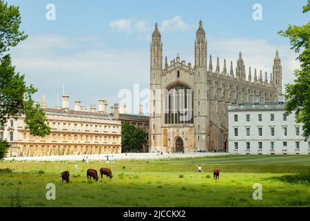 King's College in Cambridge von hinten gesehen an einem Frühlingsnachmittag, Cambridgeshire, England. Stockfoto