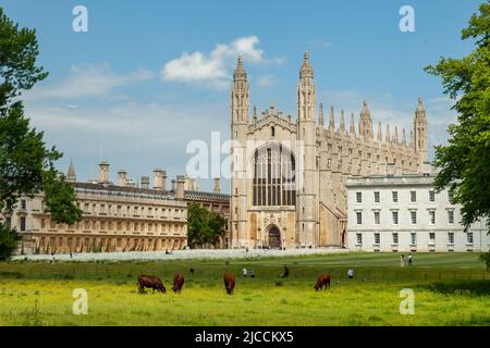 Frühlingsnachmittag auf dem Rücken in Cambridge, King's College in der Ferne. Stockfoto