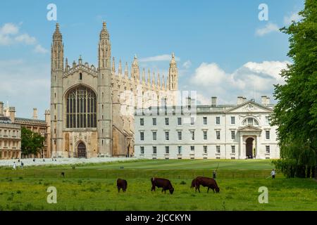 Frühlingsnachmittag auf dem Rücken in Cambridge, King's College in der Ferne. Cambridgeshire, England. Stockfoto