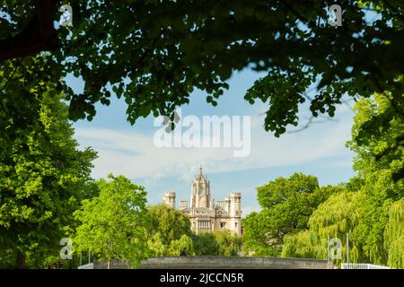 Frühlingsnachmittag auf dem Rücken in Cambridge, St. John's College in der Ferne. Stockfoto