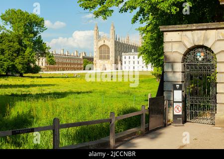 Frühlingsnachmittag im King's College in Cambridge, England. Stockfoto