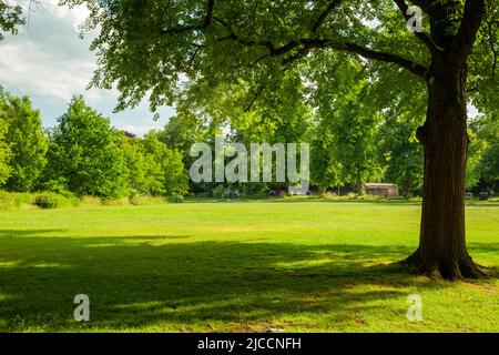 Frühlingsnachmittag auf dem Rücken in Cambridge, England. Stockfoto