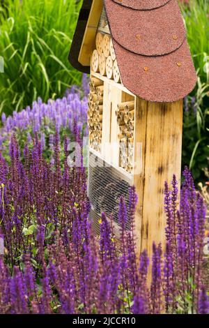 Bee Hotel in Garden, Blumen, umweltfreundlich, freundlich, Insekten, Zufluchtsort Stockfoto