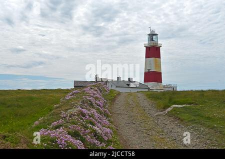 Bardsey Island Leuchtturm und blühender Thrift Stockfoto