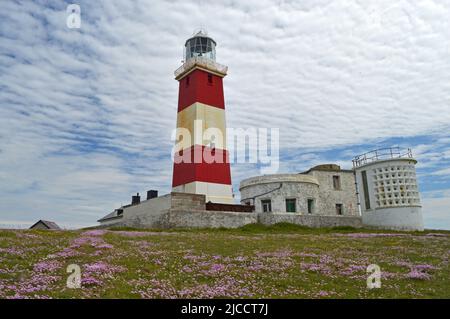 Bardsey Island Leuchtturm und blühender Thrift Stockfoto