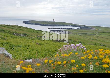Bardsey Island Leuchtturm und blühender Thrift Stockfoto