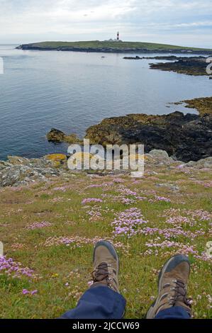 Bardsey Island Leuchtturm und blühender Thrift Stockfoto