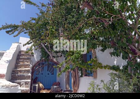 Blick auf ein von Bäumen verborgenes Haus im Bergdorf Megalo Chorio, Tilos, Dodekanese, Rhodos, Griechenland. Mai 2022. Frühling Stockfoto