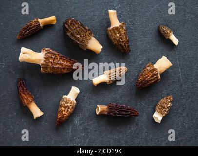 Morelpilze Nahaufnahme auf dunklem Hintergrund. Flach liegend Stockfoto