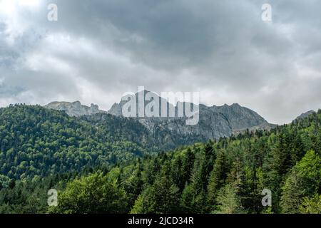 Grüner Laub- und Nadelwald in Selva de Oza, Valle de Hecho, Naturpark der westlichen Täler, Aragonische Pyrenäen, Provinz Huesca, Sp Stockfoto