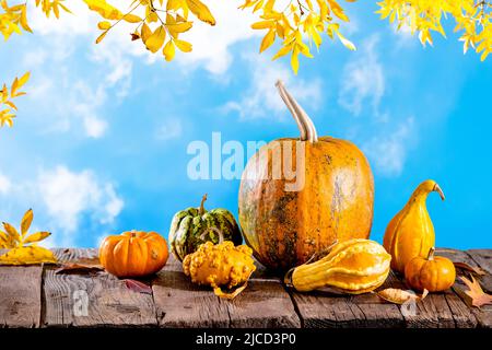 Herbstrahmen mit Kürbissen auf Holztisch und orangefarbenen Blättern gegen blauen Himmel Stockfoto