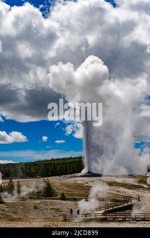 Geyser Old Faithful bricht im Yellowstone National Park in Wyoming, USA, aus Stockfoto