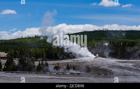 Geyser Old Faithful bricht im Yellowstone National Park in Wyoming, USA, aus Stockfoto