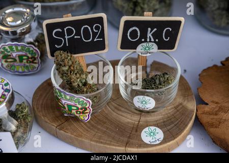 Nakhom Pathom, Thailand. 12.. Juni 2022. Unkraut wird am zweiten Tag des Marihuana-Festivals „Thailand 420 Legal-AEW“ außerhalb von Nakhom Pathom, Thailand, am Sonntag, dem 12. Juni 2022, zum Verkauf angeboten. Thailand entkriminalisierte vor kurzem Marihuana, was einen Boom im Marihuana-Geschäft ankurbelte. (Bild: © Andre Malerba/ZUMA Press Wire) Stockfoto