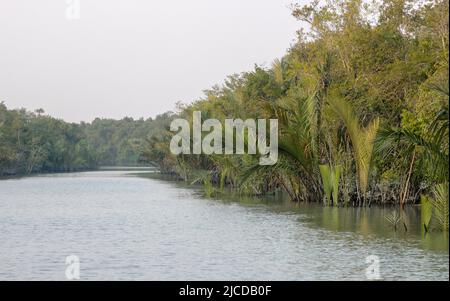 Ein Kanal in Sundarbans, dem größten Mangrovenwald der Welt.Dieses Foto stammt aus Bangladesch. Stockfoto