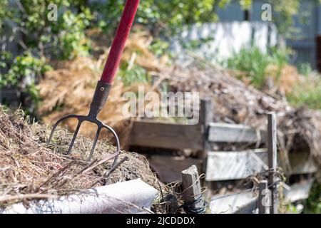 Gabel mit rotem Griff zum Kompostieren, Recycling von Rasen- und Gartenabfällen. Gabeln stecken im Kompost fest. Kompost im Hinterhof machen und mischen. Bio-Ferti Stockfoto