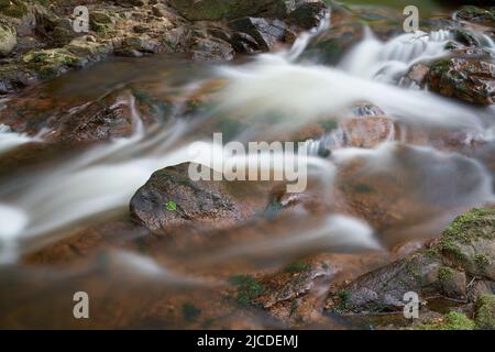 Die Ilse bei Ilsenburg am Fuße des Brockens im Nationalpark Harz in Deutschland Stockfoto