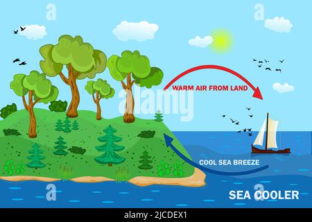 Science Poster Design für Meer- und Landbrise. Windpark an der Küste. Luftbewegung mit thermisch-warmer und kalter Luftzirkulation. Lokale Wetterursache Stock Vektor