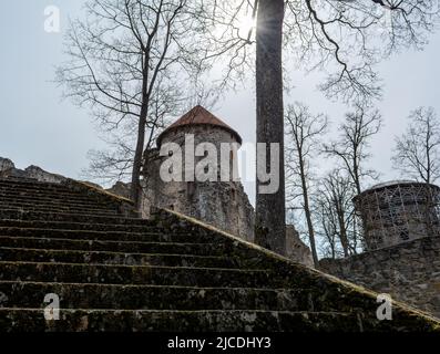 Ruinen und breite Steintreppen der mittelalterlichen Burg in Cesis, Lettland Stockfoto