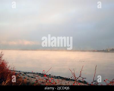 Am Frühen Morgen Nebel Auf Der Themse Stockfoto