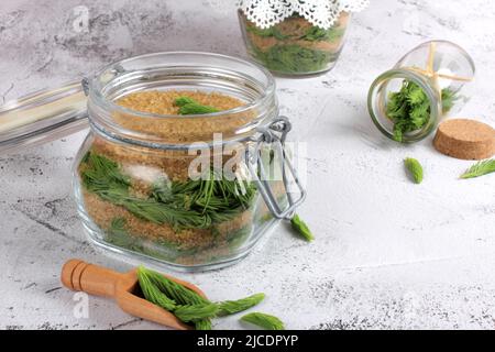 Fermentation junge Fichtentriebe bereiten sich mit braunem Zucker vor. Heilmittel gegen Husten und Asthma. Homöopathie und natürliche Volksmedizin. Stockfoto