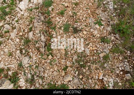 Schotterpiste. Natürlicher Hintergrund. Stockfoto