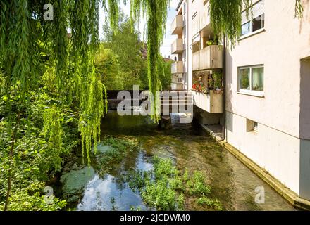 Haus in der Stadt Ulm, Baden-Württemberg, Deutschland. Im Sommer schöner Blick auf ein Wohnhaus am Wasserkanal. Historisches Fischerviertel in Ulm CI Stockfoto