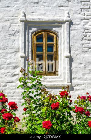 Fenster des Hauses und rote Rosenblumen in Kasan Kreml, Russland. Vintage Fenster in alter weißer Außenwand im Sommer. Konzept der Behausung, Öko, gemütlich ho Stockfoto