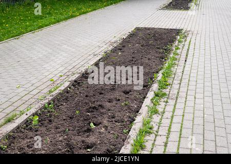 Land auf einem städtischen Blumenbeet für das Pflanzen von Blumen in Moskau, Russland vorbereitet Stockfoto