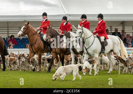 Wadebridge, Cornwall, England. Samstag, 11.. Juni 2022. Nach einer zweijährigen Abwesenheit wegen Covid zog der letzte Tag der Royal Cornwall Show einen großen c Stockfoto