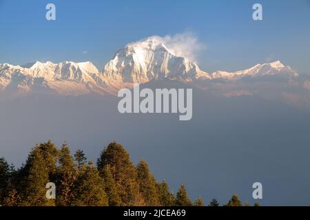 Am Morgen Panoramablick auf den Mount Dhaulagiri vom Aussichtspunkt Poon Hill, Nepal Stockfoto