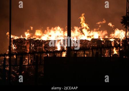 Nechells, Birmingham, England, 12. Juni 2022. Mehr als 100 Feuerwehrleute bekämpfen ein riesiges Inferno auf dem Smurfit Kappa Recycling Compound in Nechells, Birmingham. Die West Midlands Fire Service hat 20 Geräte installiert, darunter zwei hydraulische Hubarbeitsbühnen, mehrere Löschfahrzeuge und eine Hochvolt-Wasserpumpanlage. Bei dem Vorfall werden 8000 Tonnen Papier- und Pappballen in einem Lagerhaus in Brand gesetzt. Quelle: Stop Press Media/Alamy Live News Stockfoto