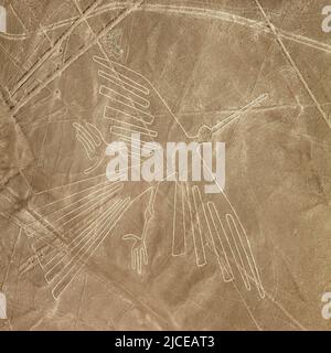 Condor geoglyph, Nazca oder Nasca geheimnisvolle Linien und Geoglyphen Luftaufnahme Sepia farbig, Wahrzeichen in Peru Stockfoto